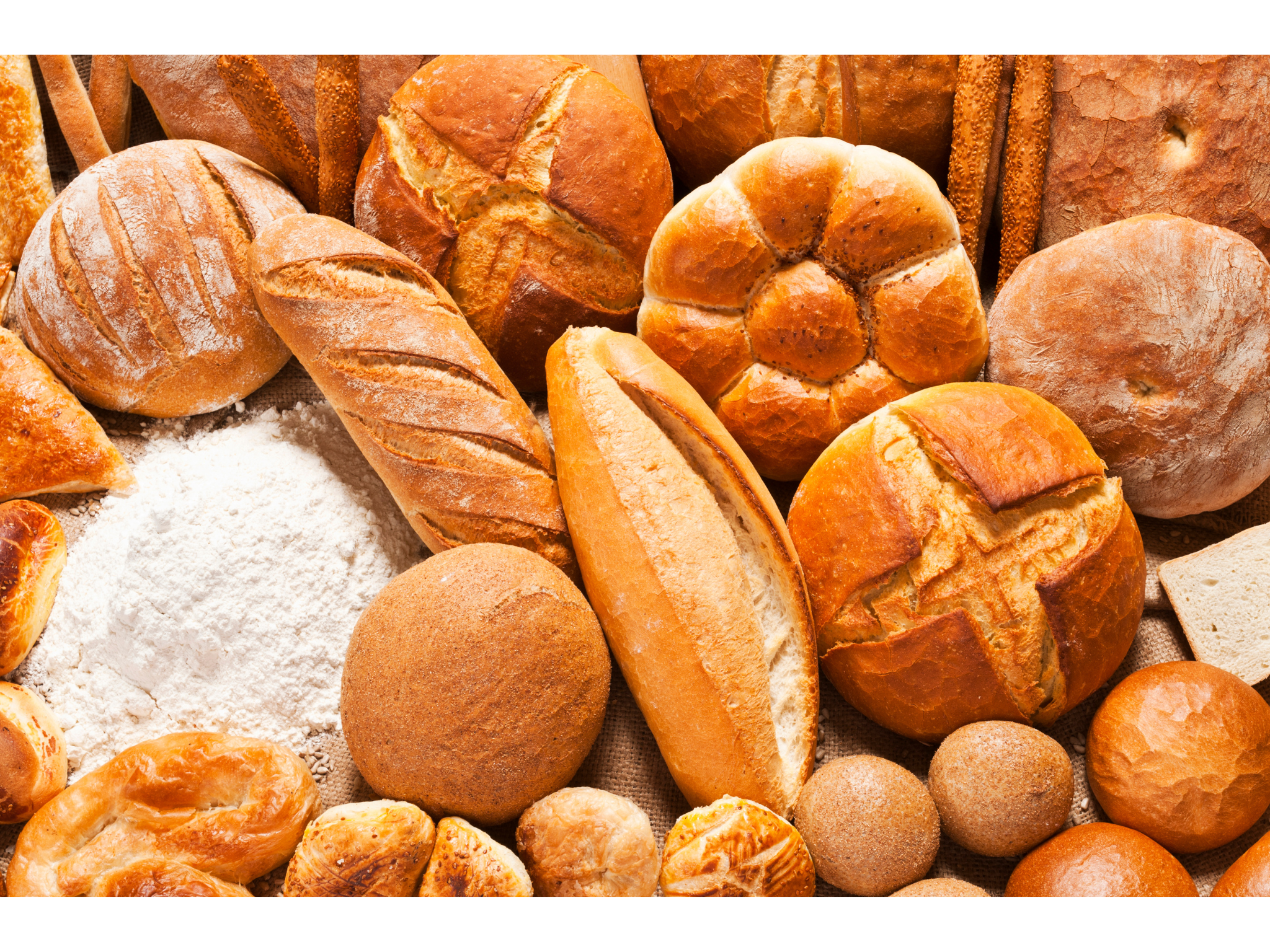 Bread Collection Bread & Cereal