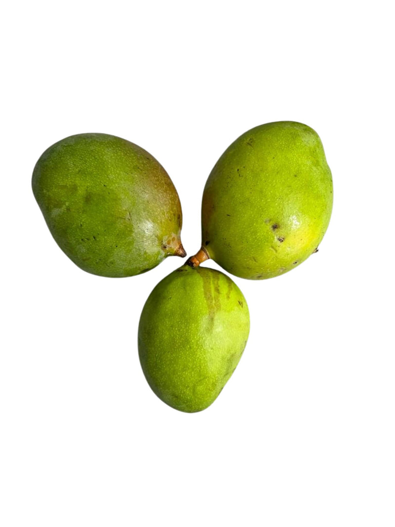 Mango Green - LB