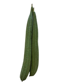 Turia/Ridge Gourd - LB
