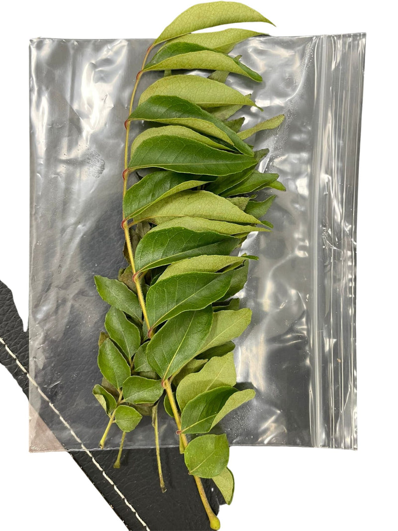 Curry Leaves - pack