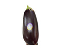 Eggplant American - LB
