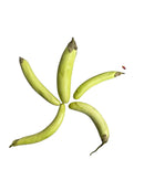 Egg Plant Long Green - LB