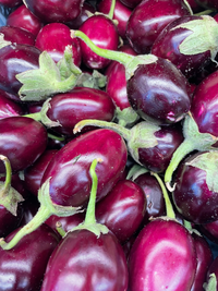 Eggplant Indian - LB