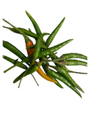 Green Chilli Thai - LB