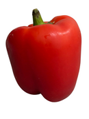 Orange Bell Peper - CT