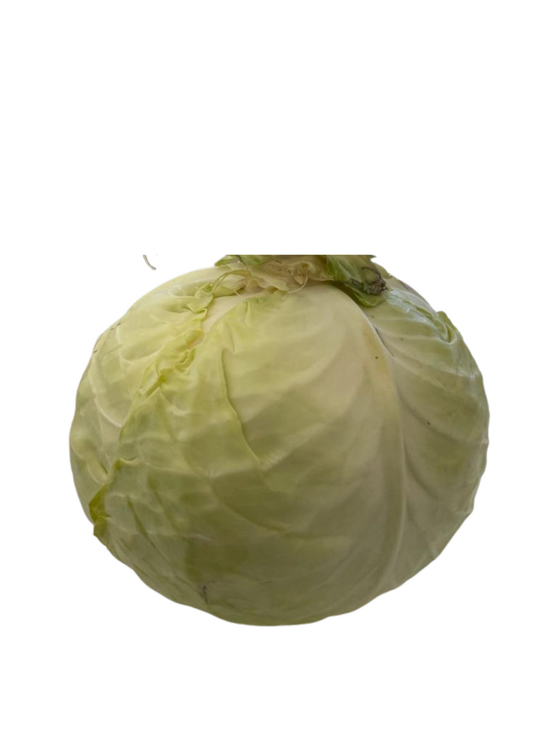 Cabbage Green - EA
