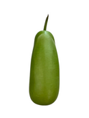 Long Squash/Dhudi - LB